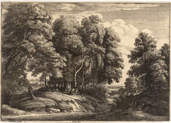 De herder in het bos